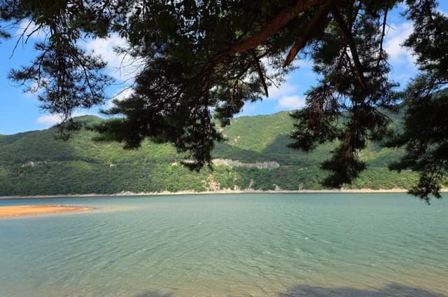 Serene Busan Private Tour: Forest, Temple & Korean Tea