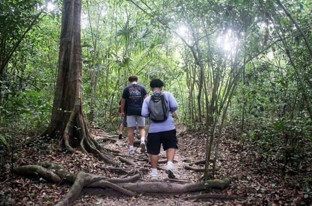 Mountain Pine Ridge & Jungle Hike: Waterfalls & Caves with Lunch
