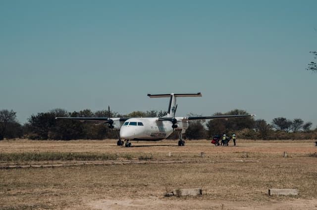 Full Day Mikumi National Park Safari from Zanzibar by Flight