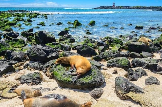 Bartolome Island Tour & Snorkeling from Puerto Ayora, Galápagos