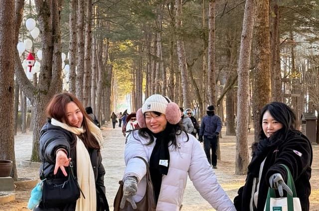 Seoul to Nami Island Full-Day Private Highlights Tour, Transfers