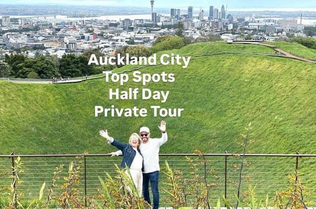 Auckland City Top Spots Half Day Private Tour