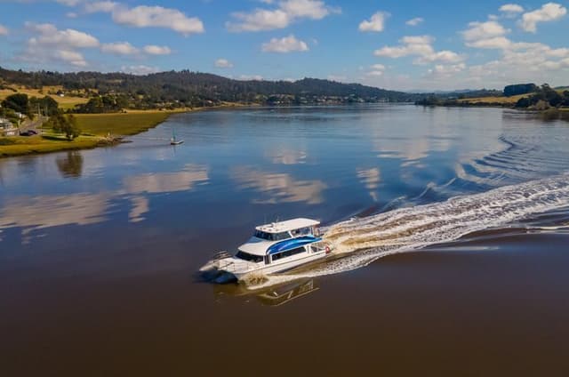 Tamar Valley Lunch Cruise with Wine Tasting