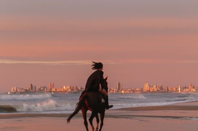 Oceanfront Sunrise Horseback Ride in Mar del Plata