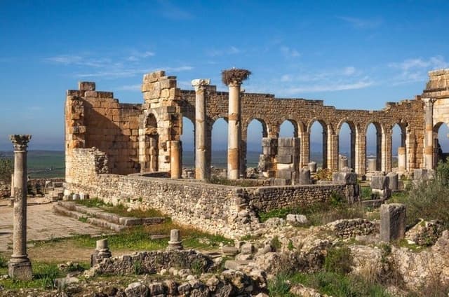 Fes to Volubilis, Moulay Idriss and Meknes Private Day Trip
