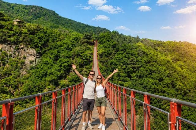 Small Group DMZ Tour with Hotel pickup : 3rd tunnel&Susp. Bridge