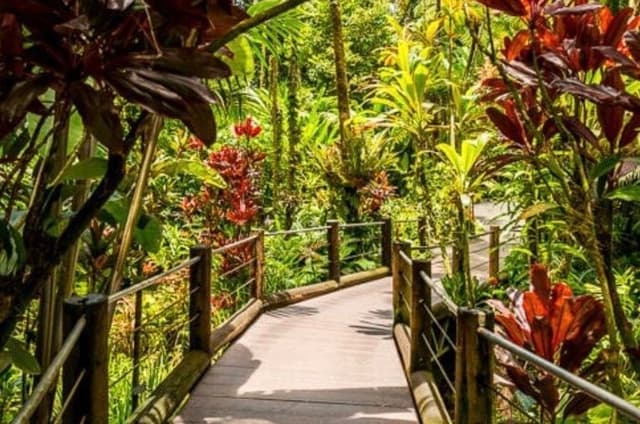 Hilo Hamakua Coast Scenic Tour