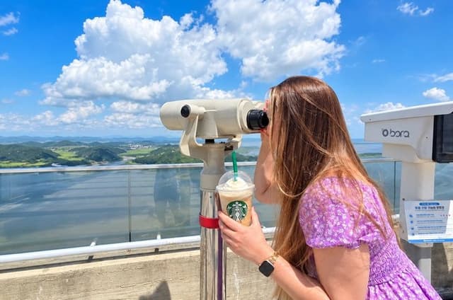 DMZ North Korea View & Aegibong Starbucks Tour from Seoul