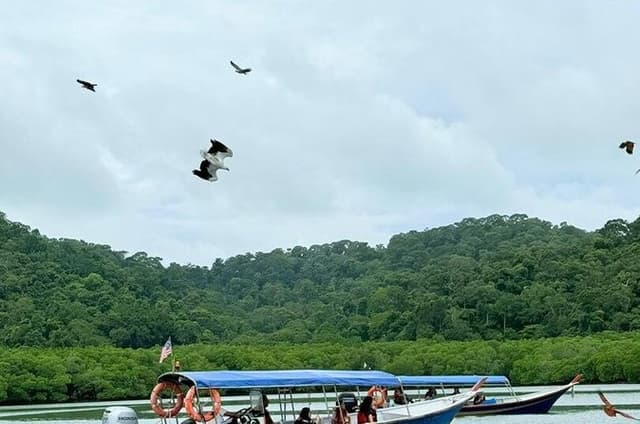 Langkawi Island Hopping Group Tour with Eagle Watching