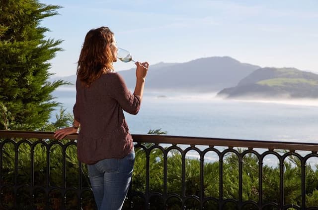 San Sebastian: Private Txakoli Wine Tasting & Hondarribia pintxos