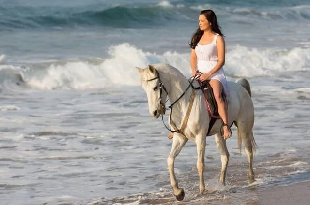 1 Hour Maafushi Horse Riding Adventure in the Maldives