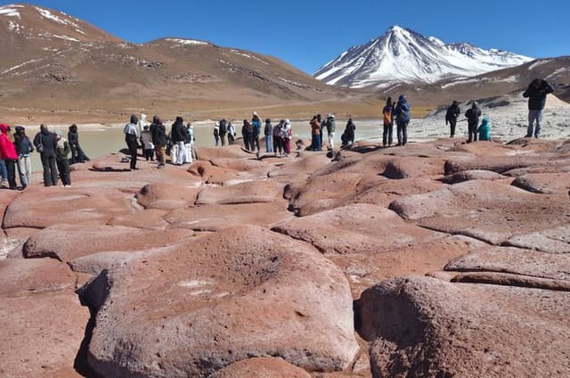 Full Day Tour to Red Stones, High Plains and Chaxa