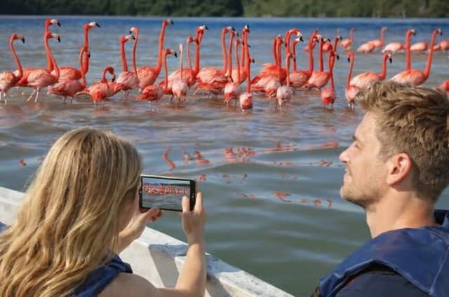 Rio Lagartos and Las Coloradas flamingos and crocodiles