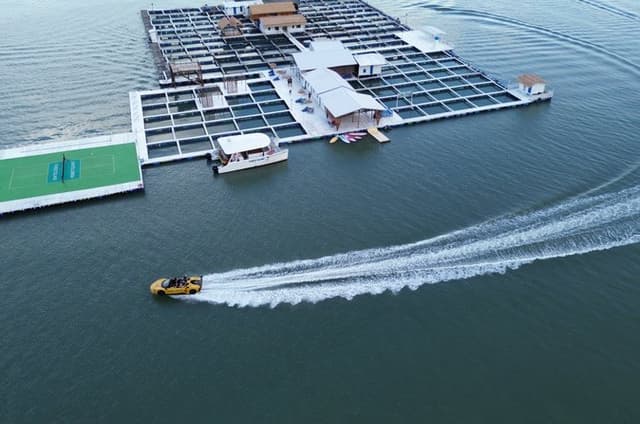 Penang Forest Island Catamaran Cruise with Dinner and Activities