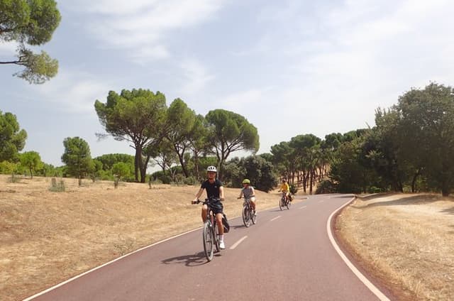 Exclusive Madrid E-Bike Tour: El Pardo Nature & Palace