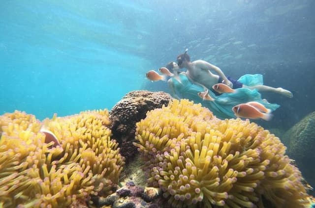 Koh Tao Afternoon Snorkeling Experience with 5 Stops