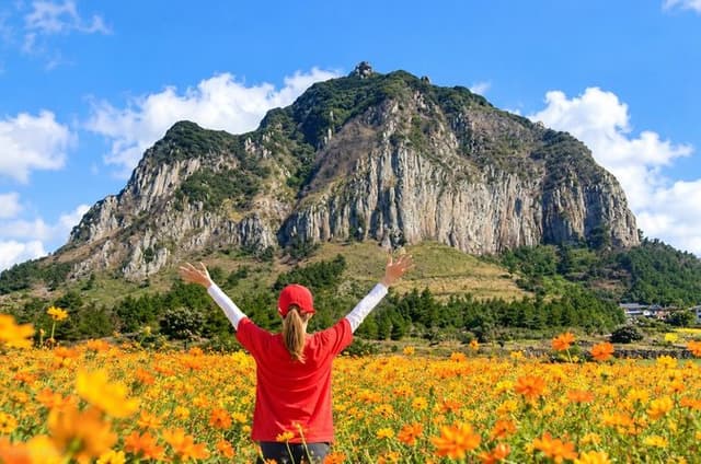 Jeju South-West Essentials: Hallasan & Signature Highlights