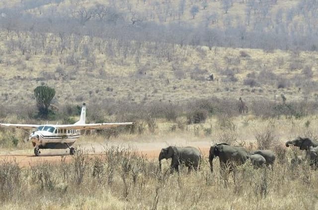 4 Nights Ruaha and Nyerere National Parks Safari from Zanzibar