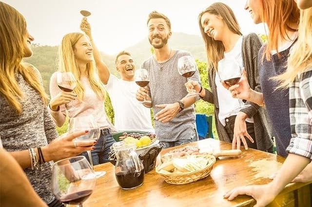 Niagara Wine Country Tour Tasting at 3 Estate Wineries