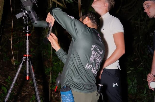 Small Group Night Walking Tour in Monteverde