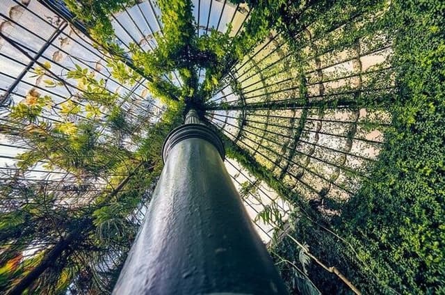 Madrid: Real Jardin Botanico Skip The Line Tickets