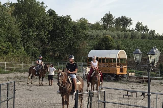 Horseback riding experience in the countryside of Sant'Agata de'Goti