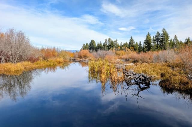Tahoe Autumn Escape: Emerald Bay to Tahoe City Fall Colors Tour