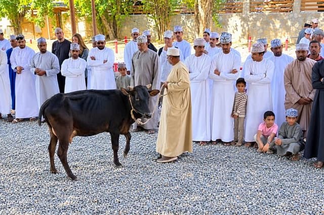 Private Friday Cattle Market-Nizwa and Jebel Akhdar-Full-Day Tour