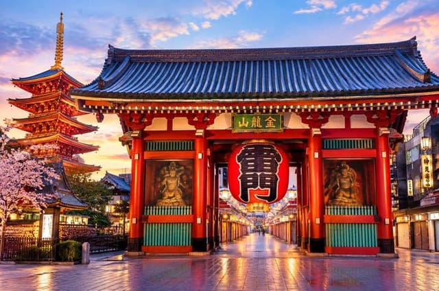 Tokyo Highlights Culture and Iconic Landmarks Full Day Tour