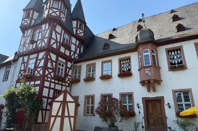 Explore Ruedesheim by Walking Tour