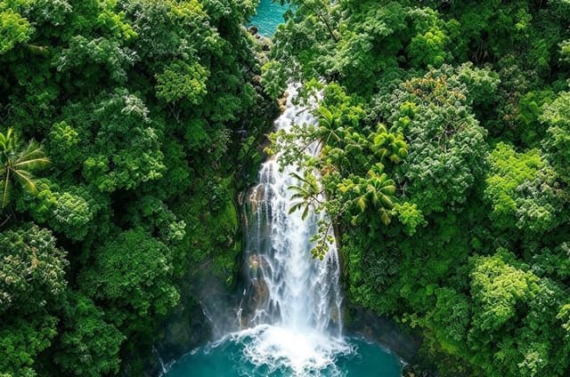 Private Blue Waterfall, Sloth Sanctuary and Coffee Tour Day Trip