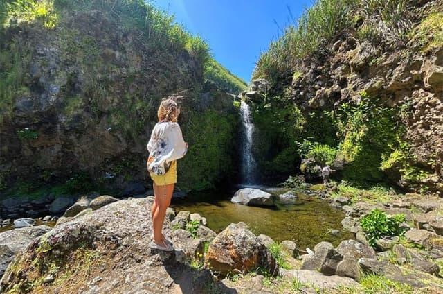 Hidden Gems of São Miguel: Small-Group Tour & Lunch
