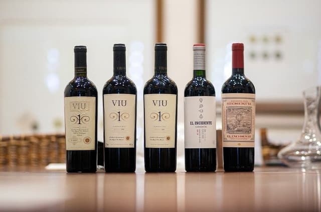 Full Day Private Viu Manent and Los Maquis wineries