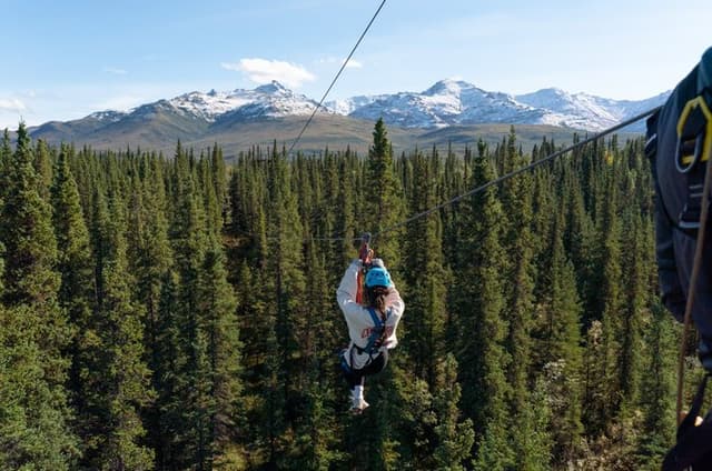 Denali Park Zipline Adventure: Denali's Highest Rated Zip Tour!