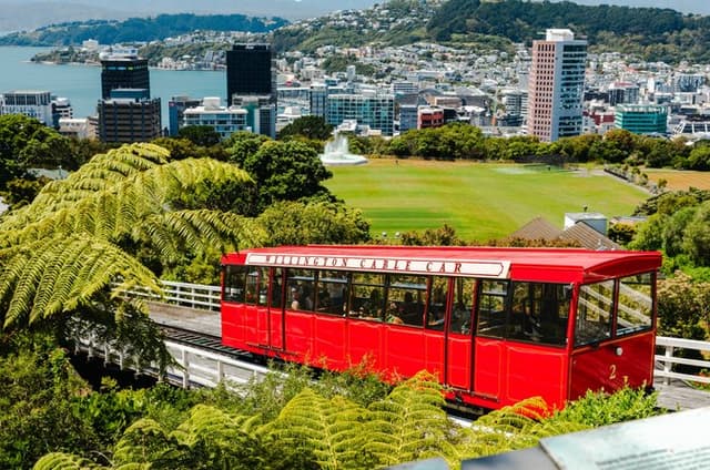Discover Wellington 3 hour City Tour