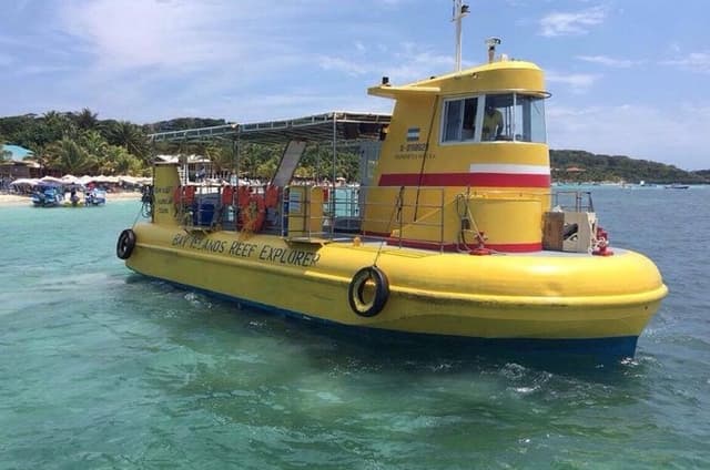 Roatán Semi-Submarine, Wildlife Encounter & Beach Break