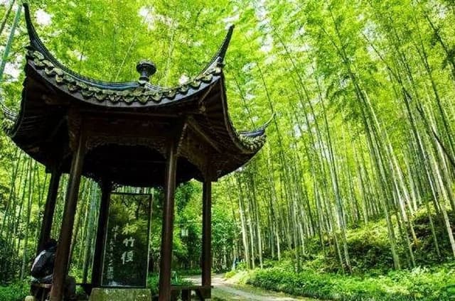 HangzhouPrivateTour:Yunxi Bamboo Path, Linyin Temple &Tea Village