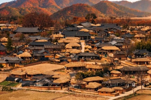 Daegu Seomun Market & Andong Hahoe Village UNESCO Tour from Busan