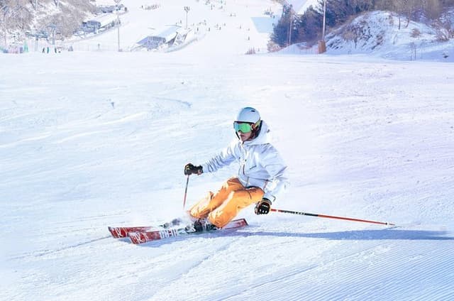 Seoul: Eobi Ice Valley, Elysian Ski Resort, Nami Island Day Trip