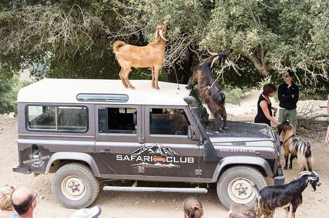 SAFARI CLUB: Land Rover Experience_Minoan Zeus Route with Lunch