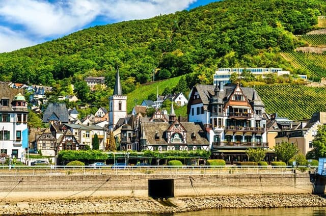 Hello Rüdesheim am Rhein: Private 2-Hour City Walk & Local Guide