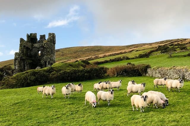 Dingle Heritage & History Photo Tour