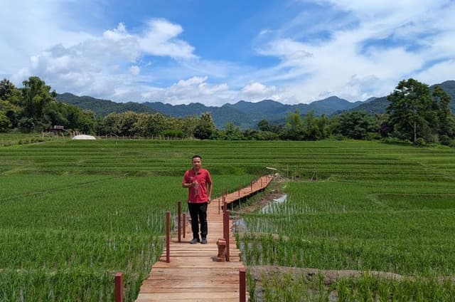 Luang Prabang: Kuang Si Waterfall & Rice Farm Tour