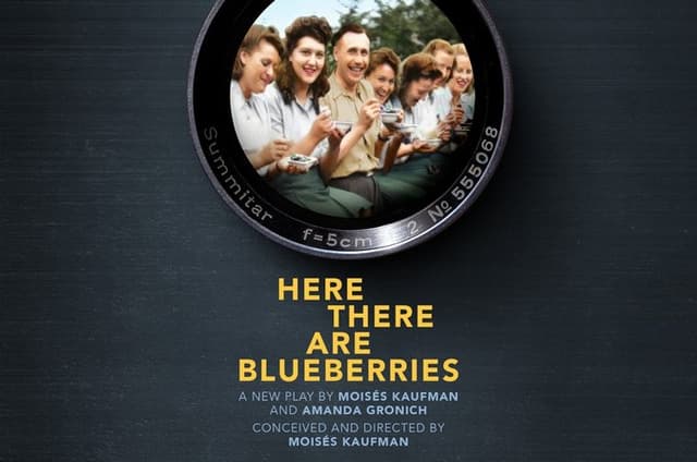 Here There Are Blueberries on Broadway Ticket