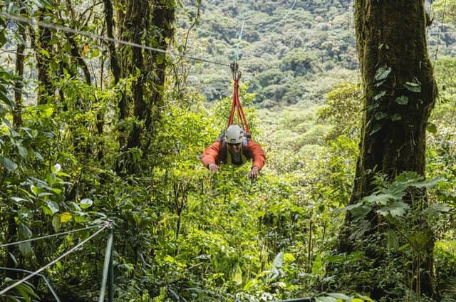 Monteverde Cloud Forest Zipline & Hanging Bridges from Guanacaste