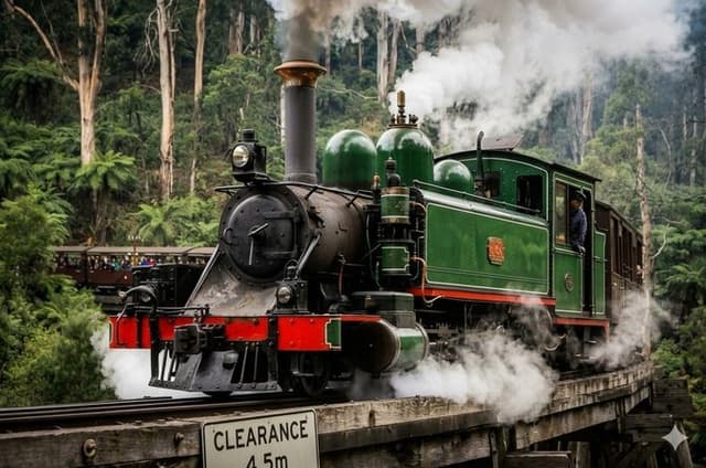 Private Puffing Billy Train & Penguin Parade (Tickets Included)