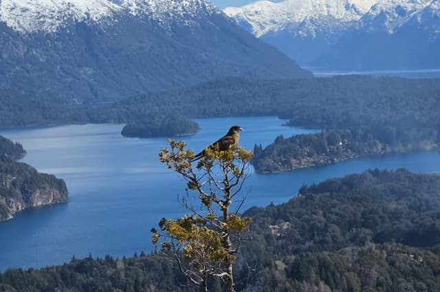 Private Full Day Tour of Bariloche