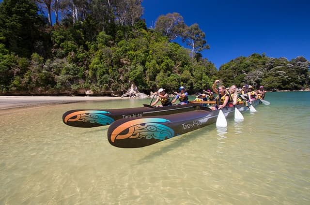Waka Paddling Tour Toka Ngawha Split Apple Rock from Kaiteriteri
