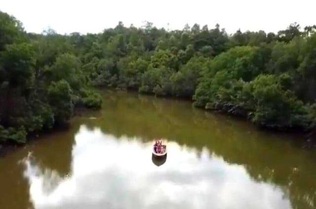 Private Proboscis Monkey Tour