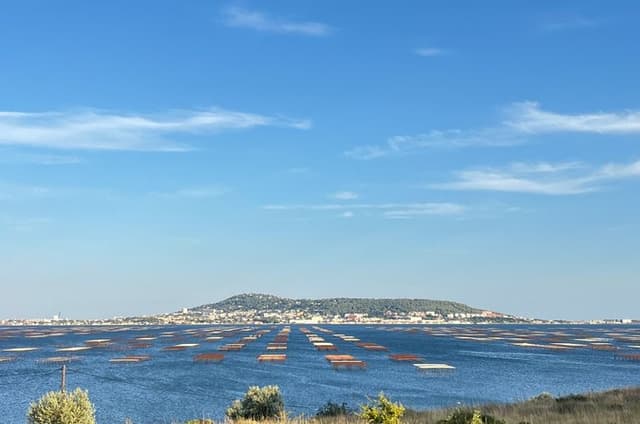 tour to Sete, an oyster farm & Wine Tasting